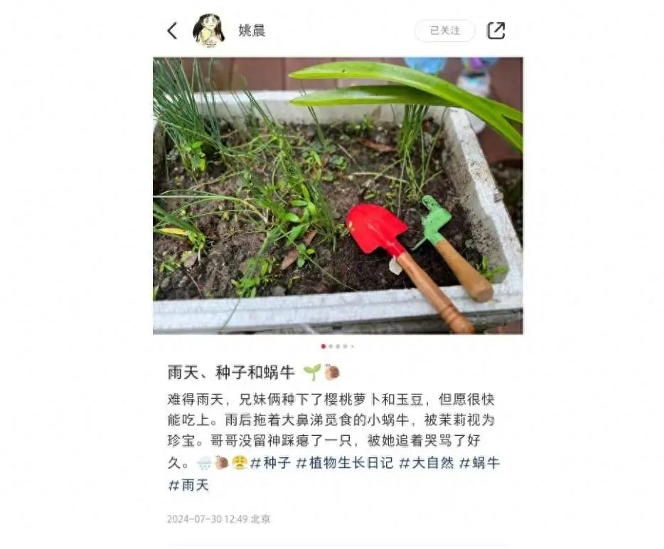  姚晨曬兒女近照,，土豆帶著妹妹一起種菜,，兄妹倆都長得像爸爸曹郁